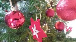 Öffnungszeiten in den Weihnachtsferien