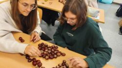 Wer wie was- wieso weshalb warum? Kinderfragen rund um die mathematischen-naturwissenschaftliche Erziehung