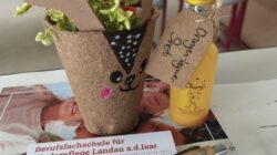 Anleitertreffen der 10. Klassen an der Berufsfachschule für Kinderpflege  in Landau