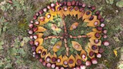 Land Art- Kreativität mit Naturmaterialien – Die Natur als Atelier und Inspiration